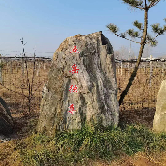 泰山石布景